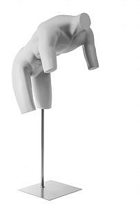 Adam - Cycling Torso