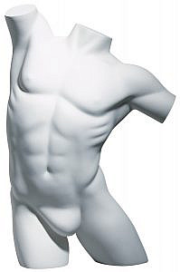 Male Premium 3/4 Torsos - 2 Body Positions