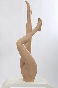 Female Hosiery Legs