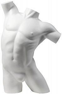 Male Styrofoam Torsos - 2 Positions